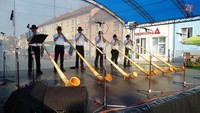 Alphorn Ensemble St. Mooritz