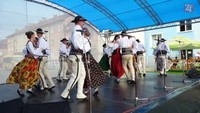 Zespoł góralski Śwarni/folklórny súbor Śwarni Novy Targ