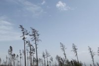 Autor: Katka Krupková