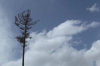 Autor: Katka Krupková