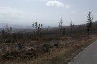 Autor: Katka Krupková