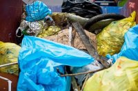 foto: Peter Michalík