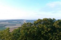 Panoramatický pohľad na Záhorskú nížinu