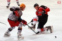 Šišmič zastavuje Šišovského