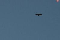 S dobrým vetrom v krídlach alebo konečne doma.