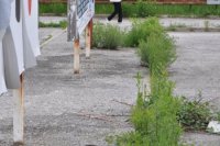 Pozemky na fotke nie sú vo vlastníctve spoločnosti Tesco Stores