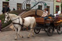 Mesto bude s novým vedením naďalej bojovať proti dopravnému chaosu a podporovať bicyklovú a vozovú dopravu. Historici varujú pred hromadením trusu na vozovke.