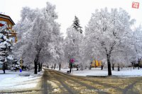 Svoje fotografie poslal aj Vlado Salzer