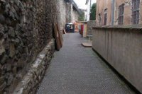 FOTO: Maroš Mačuha - Bratislavský Okrášlovací Spolok