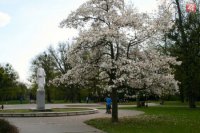 Jar prišla aj do Sadu Janka Kráľa.