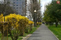 Jarná atmosféra v ružinovskom Parku Andreja Hlinku.