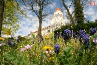 Rozkvitnuté trávniky na hradnom kopci