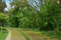 Lístim zakrytý cyklistický chodník smerom na Veľký Šariš. Foto: Dušan Guman