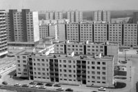 31. máj 1981. Výstavba bratislavskej mestskej časti Petržalka. Čiastkové pohľady na Togliattiho ulicu v časti Zrkadlový háj. FOTO -  Peter Šimončík.