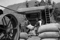 Na archívnej snímke z 28. júla 1948 mlatba v Trnavskom okrese.