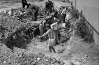 Na archívnej snímke z 30. apríla 1954 v Bratislave budovatelia Parku kultúry a oddychu. Foto Tasr - Jozef Teslík