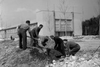Na archívnej snímke z 30. apríla 1954 v Bratislave budovatelia Parku kultúry a oddychu. Foto Tasr - Jozef Teslík