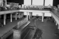 Park kultúry a oddychu na ľavom brehu Dunaja v Bratislave sa stával čoraz navštevovanejším miestom "oddychu a ušľachtilej zábavy pracujúcich". Foto Tasr- Štefan Petráš