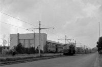 Na archívnej snímke zo 7. októbra 1955 v Bratislave Park kultúry a oddychu - "obľúbené miesto rekreácie Bratislavčanov". Foto Tasr - Štefan Petráš