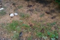 Autor foto: Ľuboš Búzik.