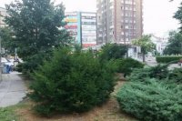 Autor foto: Ľuboš Búzik.