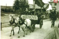 Jasenové
