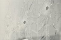 Tieto tri kvetinky nám 21. augusta 68 venovali sovietski osloboditelia.” Tri priestrely na výklade Domu obuvi na Námestí SNP v Bratislave.