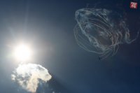 Na snímke formácie Očovskí Bačovia počas Medzinárodných leteckých dní SIAF 2015 na leteckej základni Sliač 29. augusta 2015.