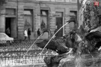 Na achívnej snímke z 10. apríla 1989 v Bratislave Kačacia fontána na Šafárikovom námestí. FOTO TASR - Drahotín Šulla