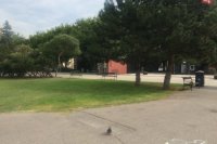 Súčasnosť, po skončení kontajnerového projektu Šafko.