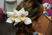 Aj tieto účesy si prešovské nevesty pochvaľujú a absolvujú v nich svoj veľký deň.