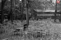 Na archívnej snímke z 20. októbra 1970 lístím obsypané výletné miesta na Železnej studničke. FOTO TASR - Štefan Petráš