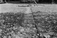 Na archívnej snímke z 9. novembra 1973 jeseň v bratislavskom parku. FOTO TASR - Tibor Babjak