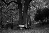 Na archívnej snímke z 22. októbra 1989 je jeseň v Horskom parku. FOTO TASR - Alexander Buzinkay