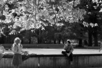 Na archívnej snímke z 22. októbra 1989 jeseň v bratislavskom Sade Janka Kráľa. FOTO TASR - Alexander Buzinkay