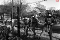 Vojaci útvaru veliteľstva pohraničnej stráže Bratislava začali  11. decembra 1989 odstraňovať ženijno-technické zátarasy v hraničnom pásme pri Devíne.