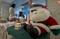 FOTO TASR - Martin Baumann