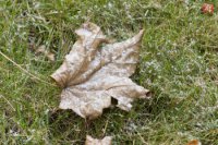 FOTO TASR - Michal Svítok