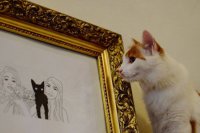 Zdroj foto: Mačacia kaviareň Mačinézy