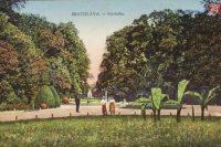 Sad Janka Kráľa, Zdroj foto: Stará Bratislava na fotografiách a obrazoch