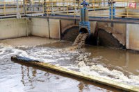 Foto – Štefan Puškáš