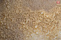 Foto – Štefan Puškáš