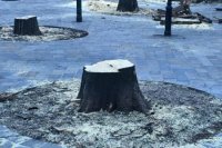 Zdroj: Mesto bez miery