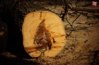 Zdroj: FB Ivo Nesrovnal