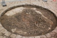 Zdroj foto: Magistrát hlavného mesta SR