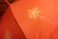 Takto pekne maľuje na dáždniky Ruženka Berežná.