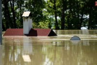 Rozvodnený Dunaj v Patinciach: Rieka zaplavili prístav pri obci v júni 2013.