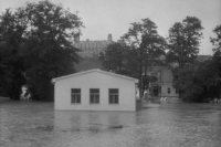 Záplavy v roku 1956: Rozvodnený Dunaj prekonal v Bratislave hranicu 900 metrov.