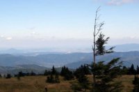 Z Kojšovskej hole výhľad na Prešov.