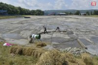 Mechy naočkujú probiotickými baktériami, ktoré budú čistiť vodu
